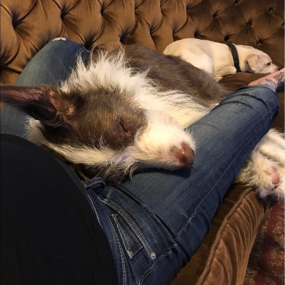 Meet your Posher, Emily