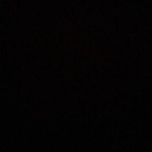 Meet your Posher, Mia