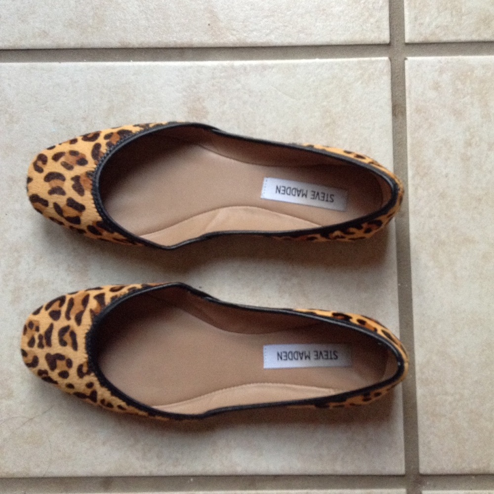 brand spankin' new leopards