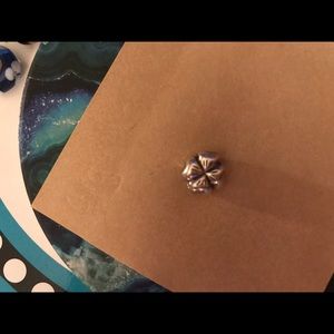 Pandora Charm