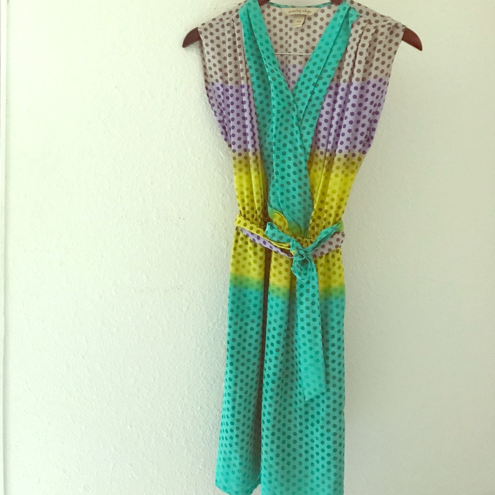 [presley skyle] silk dress