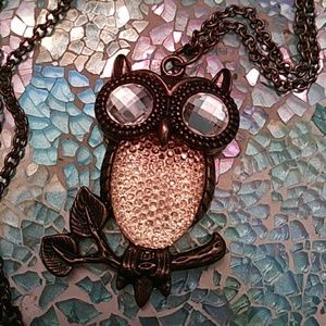 Urban Outfitters Boho Bronzed Owl Long Necklace
