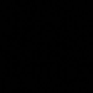 Meet your Posher, Abraham