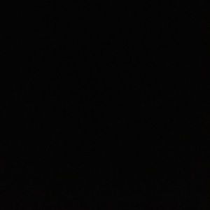 Meet your Posher, Freddie