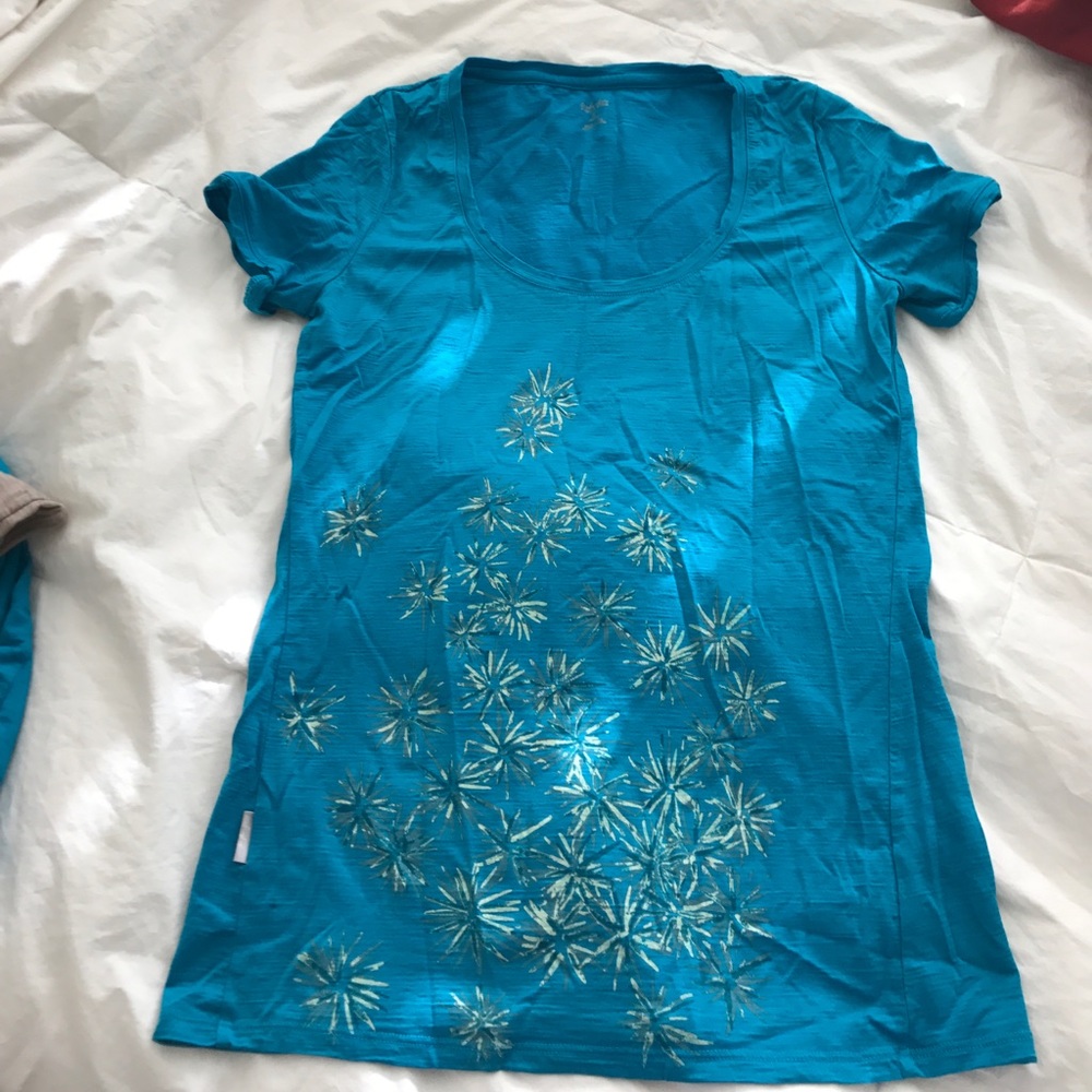 Icebreaker T shirt