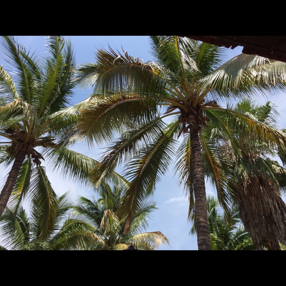 Meet your Posher, Eman