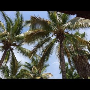 Meet your Posher, Eman