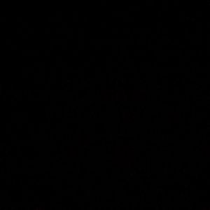 Meet your Posher, Julian wolf