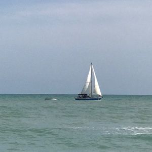 Meet your Posher, Sheila