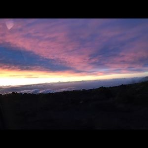 Meet your Posher, Allie