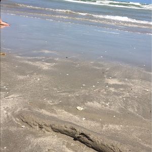 Meet your Posher, Dusty