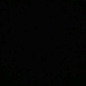 Meet your Posher, Bryan