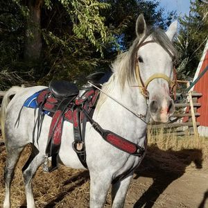 Meet your Posher, Javier