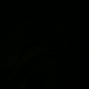 Meet your Posher, Tonia