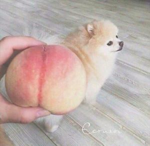 Meet your Posher, Andy