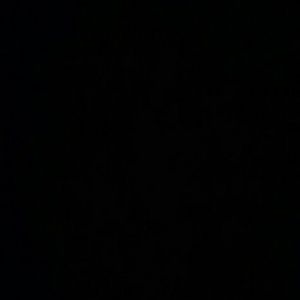 Meet your Posher, Cory