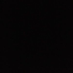 Meet your Posher, Trenton