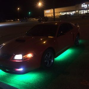 Meet your Posher, Grady