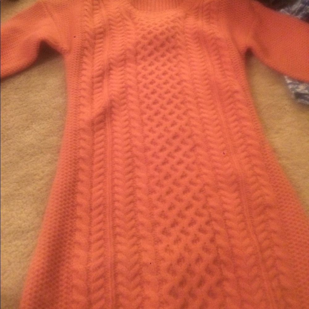 Pink Rose fall dress