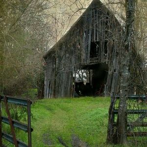 Meet your Posher, Janie