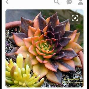 Meet your Posher, Kenneth