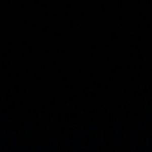 Meet your Posher, Stanley