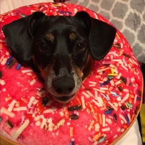 Meet your Posher, Grace