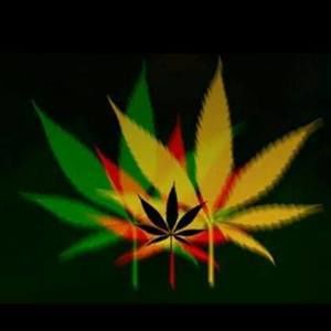 Meet your Posher, Rigo