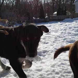 Meet your Posher, Tom