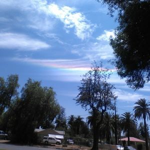 Meet your Posher, Mirna