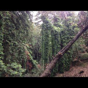 Meet your Posher, Ean