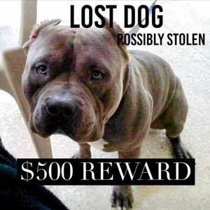 Meet your Posher, Gee