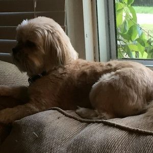 Meet your Posher, Vicky