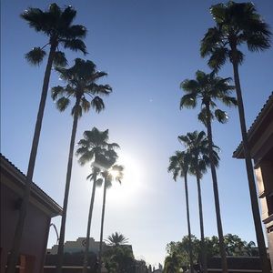 Meet your Posher, Aleksandra