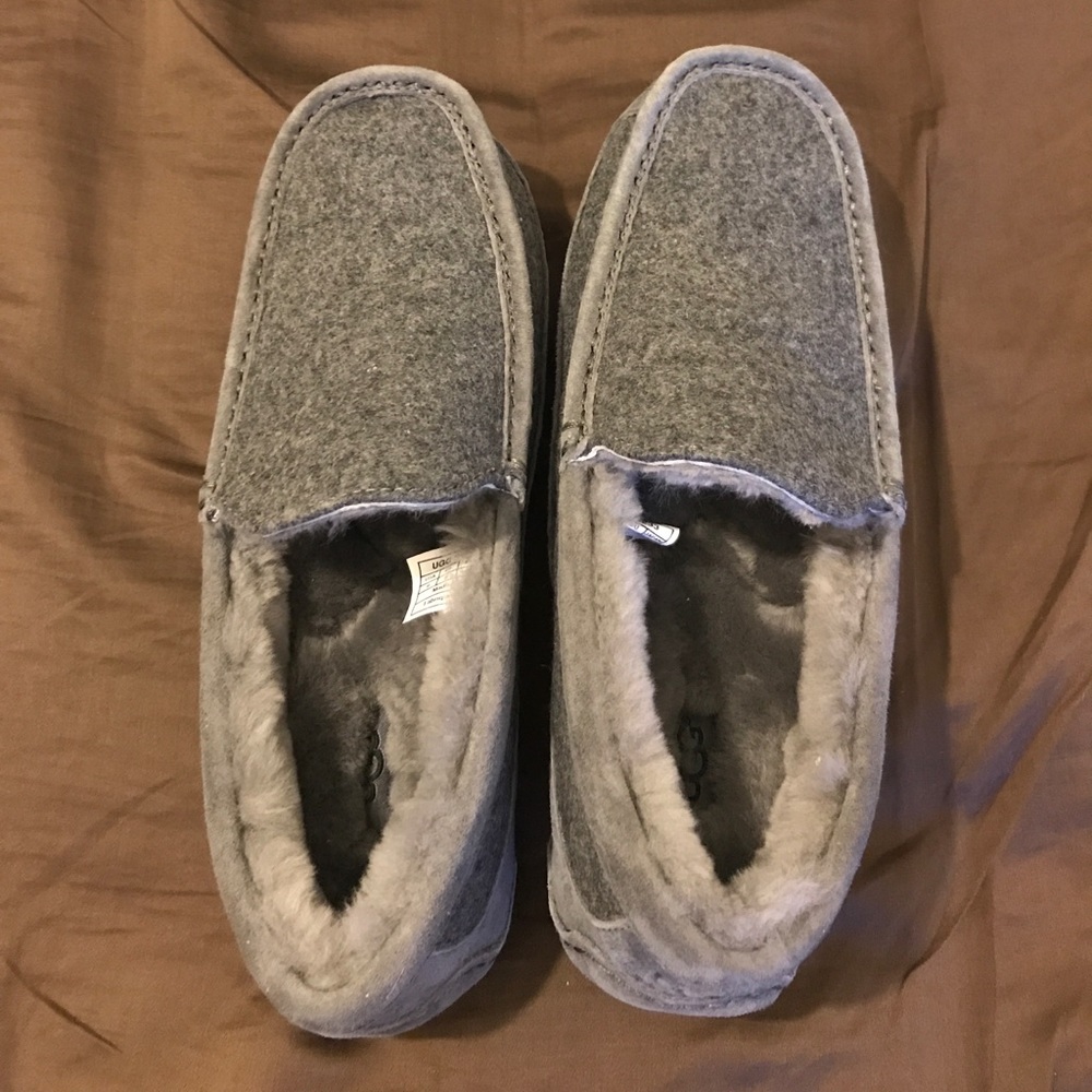 Men's Ugg "Ascot" Slippers