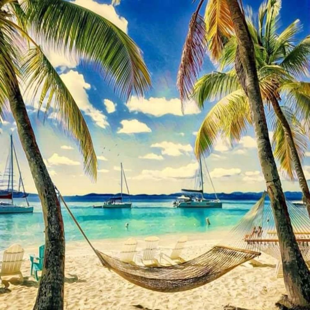 Meet your Posher, Toni