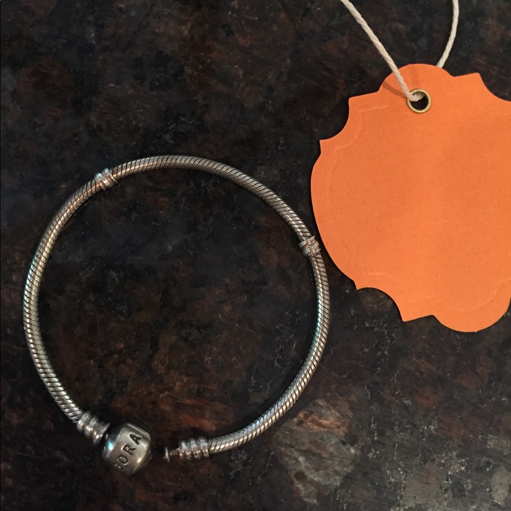 Pandora bracelet
