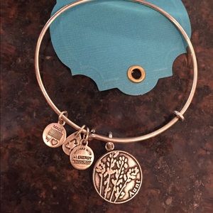 Alex and Ani