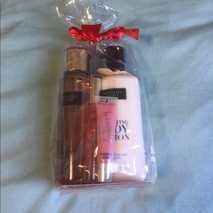 VS beauty gift bag