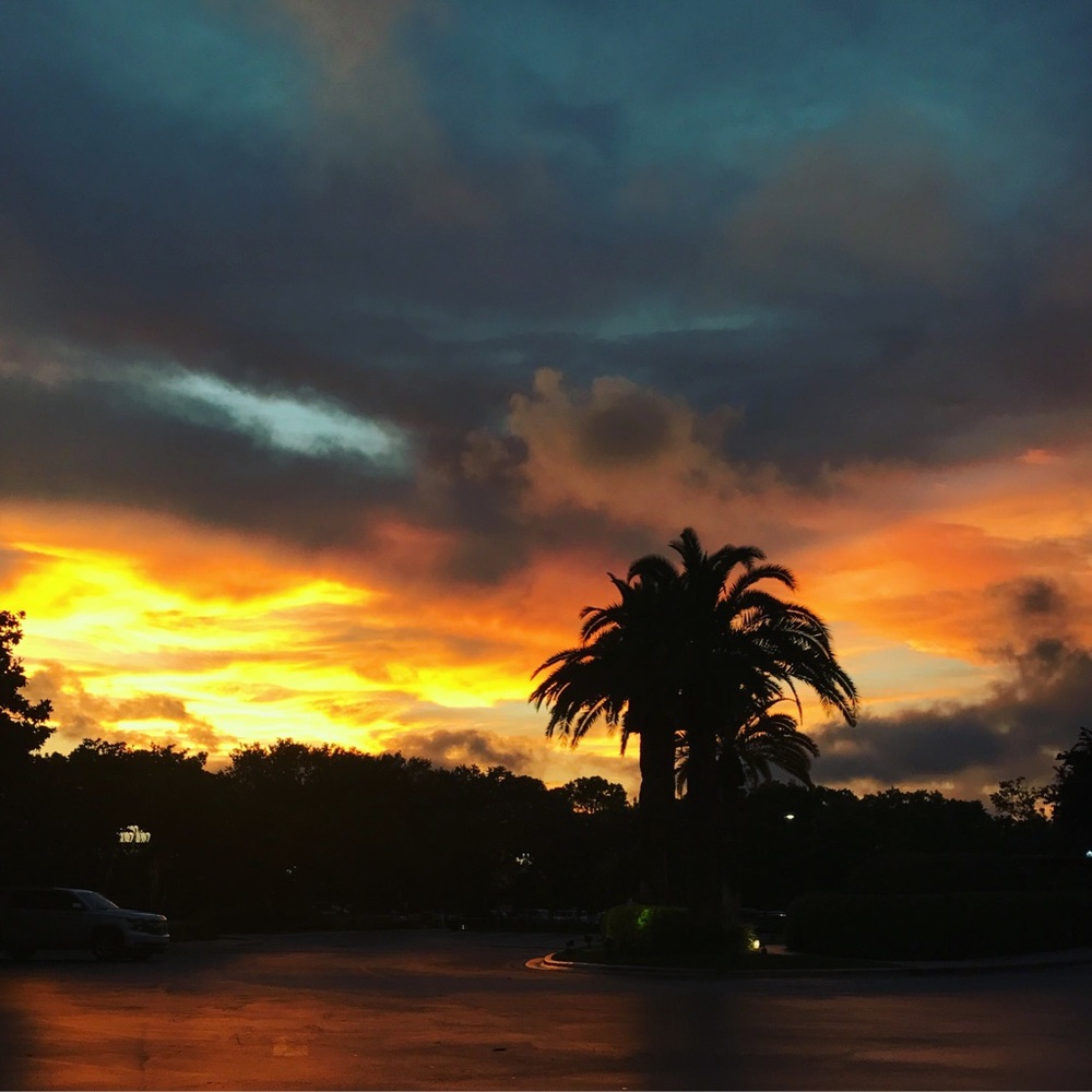 Meet your Posher, Kobe