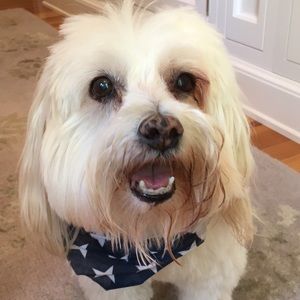 Meet your Posher, Anika