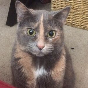 Meet your Posher, Arianna