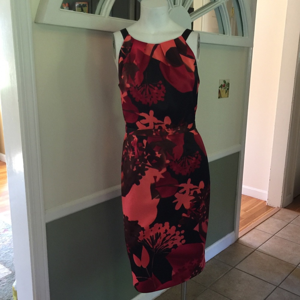 NWT GORGEOUS Tahari floral dress, Sz 10