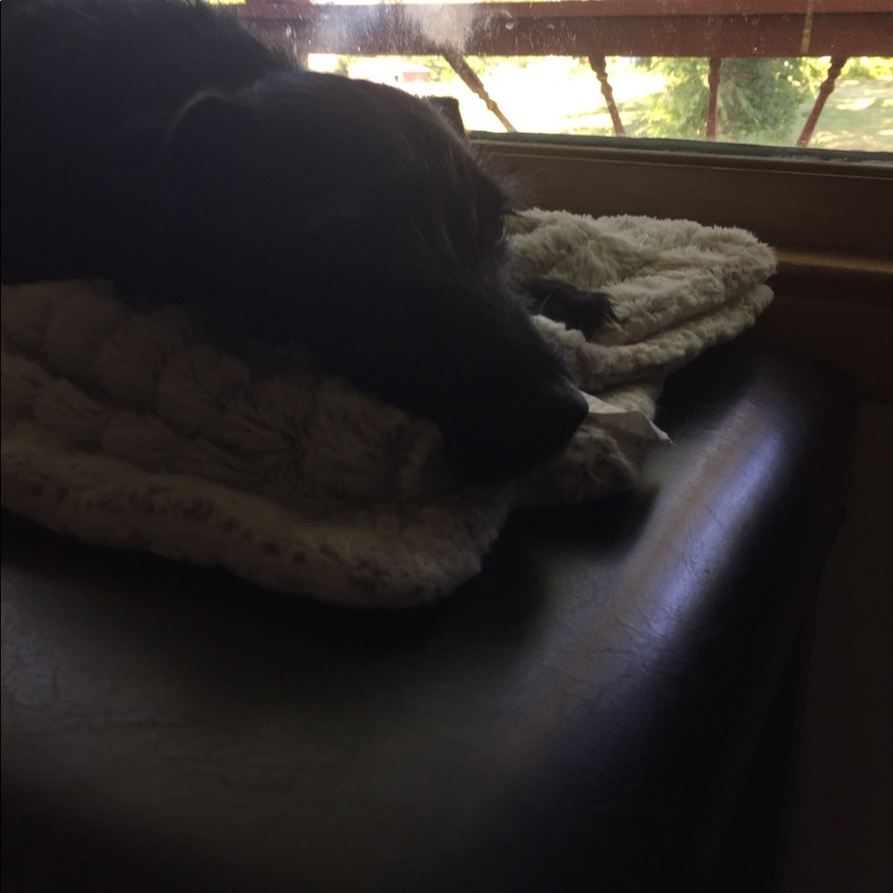 Meet your Posher, Natasha