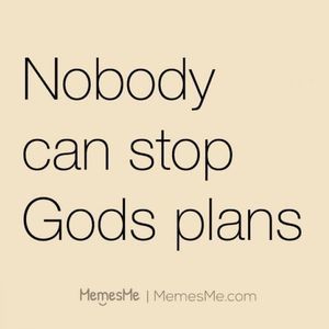 Meet your Posher, Phillip