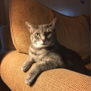 Meet your Posher, Summer