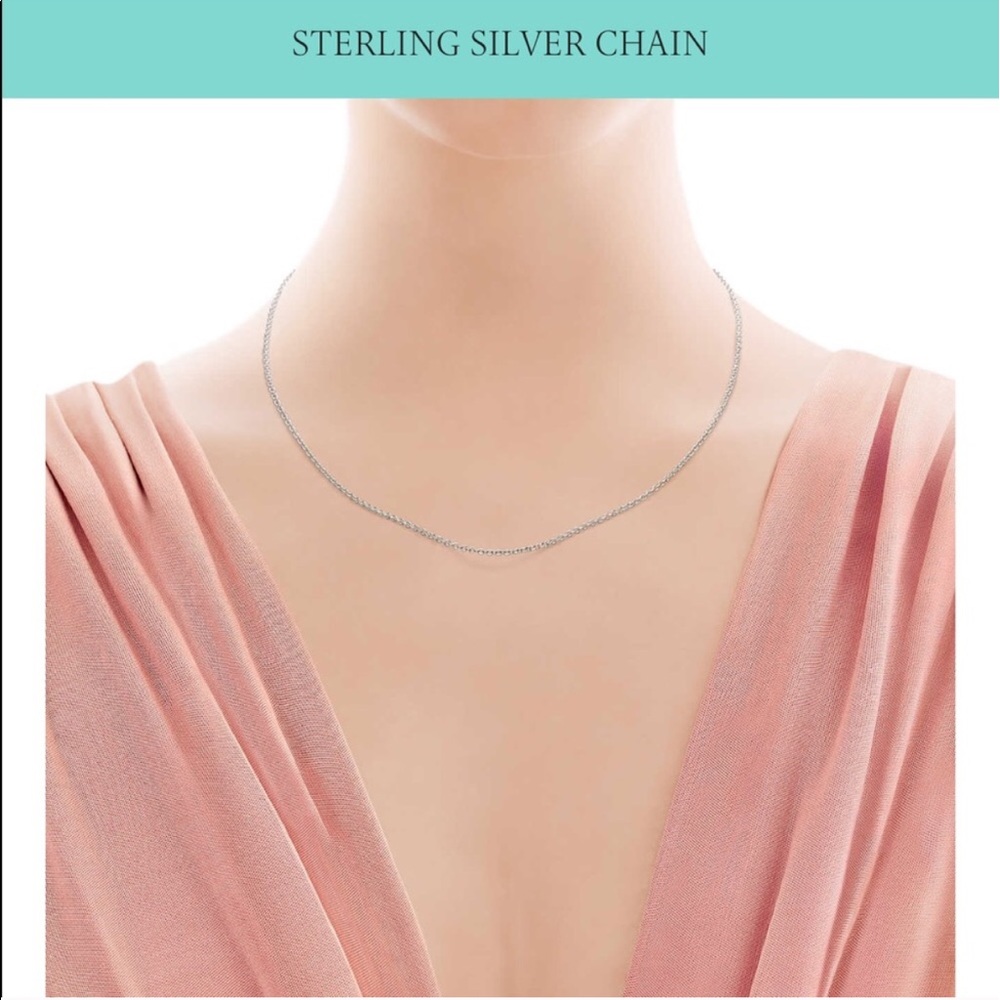 Tiffanys c.o necklace