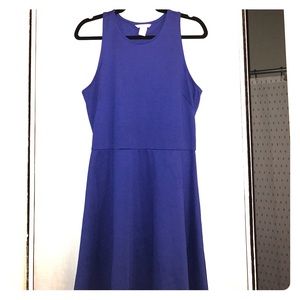 Royal Blue Jersey Dress