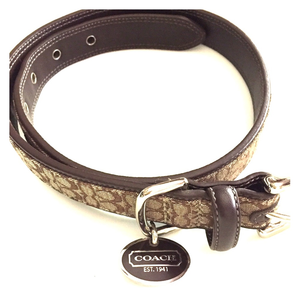 XL coach dog collar