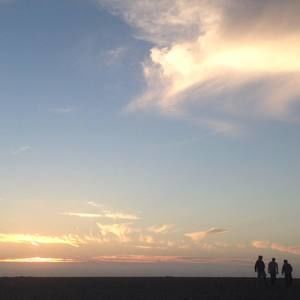 Meet your Posher, Bryan